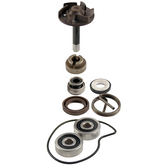Kit revisione pompa acqua RMS Piaggio Beverly 250cc 2004/2005  per PIAGGIO X9 EVOLUTION 250 2004 - 2004